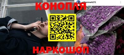 бошки Партизанск
