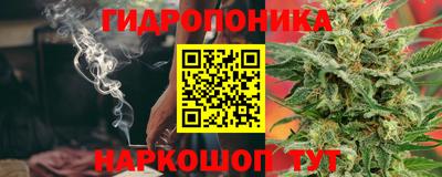 мдпв Пугачёв