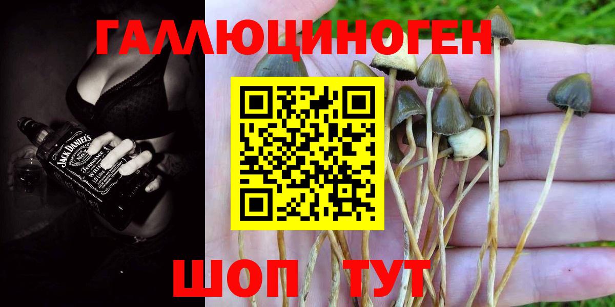 Псилоцибиновые грибы ЛСД  Вход с VPN  Реутов 