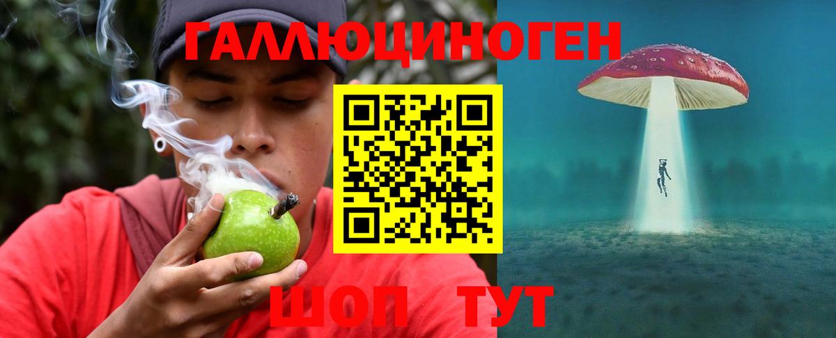 Псилоцибиновые грибы Psilocybe Реутов
